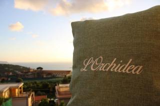 L'Orchidea - 2