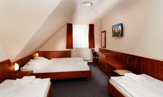 Hotel Paprika - Hegyeshalom - 8