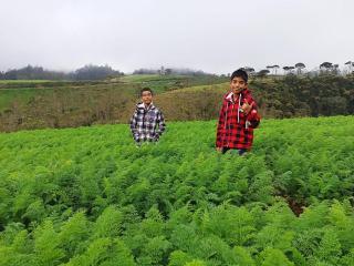 Charley's Heaven Ambewela - 2