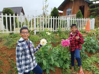 Charley's Heaven Ambewela - 1