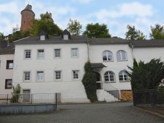 Very comfortable house with bathrooms and a garden - Mürlenbach - 5