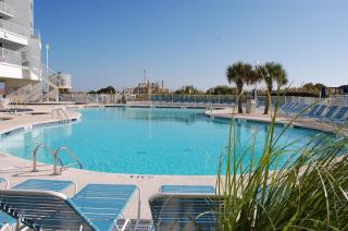 Seawatch South 807 - Oceanfront-Shore Drive Section - Myrtle Beach - 5