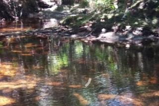 Chalé Canto das Candeias - Sêrro - 5