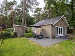 Atmospheric lodge with a deck on the Veluwe - Hoenderloo - 0