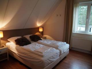 Comfortable home with a sauna, located in nature - Hoenderloo - 3