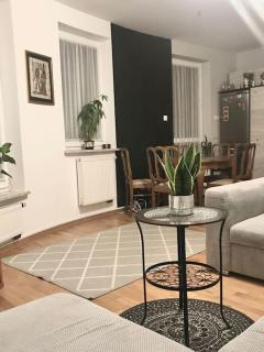 Apartament nad rzeką przy parku zamkowym - Olsztyn - 0