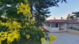 MERCADANTE - Luxury Holiday House - Cassano delle Murge - 0