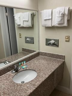 Windsor Inn of Jacksonville - 6
