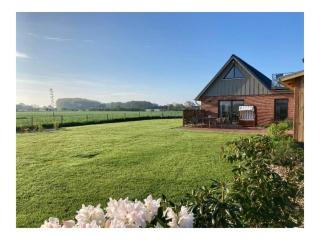 Tranquil holiday home with garden - Kronsgaard - 9