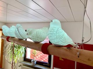 Ferienwohnung HYGGELIG - Göttingen Harz Duderstadt - 5