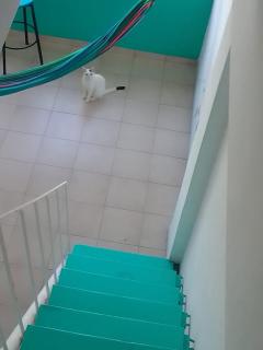 Casa Grace Apto con vista al mar - 6