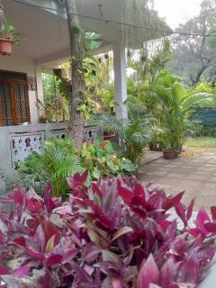 Nelum Home stay - 3