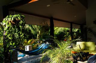 House in the palm forest - Carrillo - 1