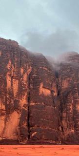 Desert Life Camp - 1