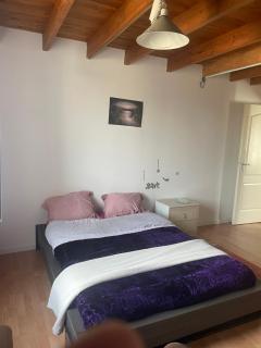 chambre violette coté aéroport calme charmante - Pusignan - 1