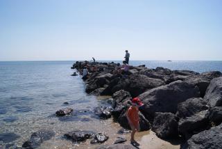 T2 Cap d'Agde bord Roquille - 9