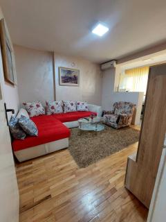Apartment Vuk - Podgorica - 9