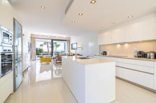 Designer Alcanada - 3