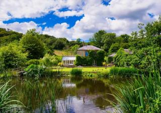 Hutchinghayes Farmhouse - Honiton - 0