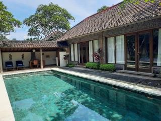 Nefatari Exclusive Villas - Ubud - 4