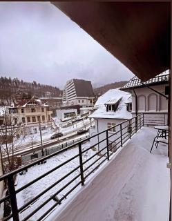 ANA Apartments Sinaia - Sinaia - 4
