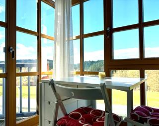 Ferienwohnung "Heidi" mit traumhaftem Ausblick - Hillstett - 3