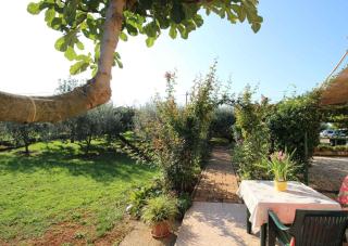 Apartments in Novigrad - Istrien 46738 - Karpinjan - 6
