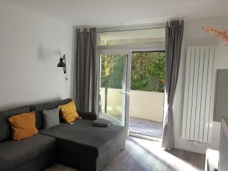 Appartement ComfortZone im Harz mit Sauna und Pool - 1