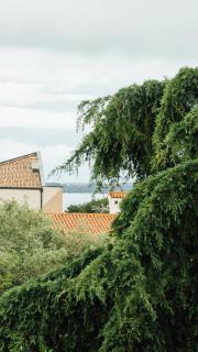 Lenić apartman, free private parking - Fažana - 2
