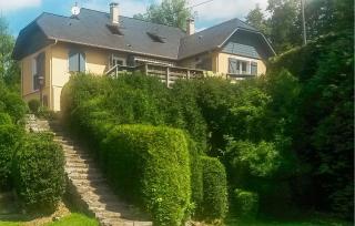 4 Bedroom Stunning Home In Louvie-Juzon - Louvie Juzon - 9