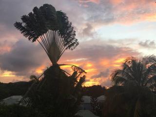 Villa Alberto - TropicalKaz Guadeloupe - Sainte-Rose - 4