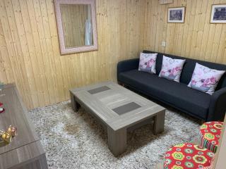 Apartment near Geneva Airport and Palexpo - Geneva - 8
