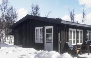 3 Bedroom Stunning Home In Uvdal - Uvdal - 3