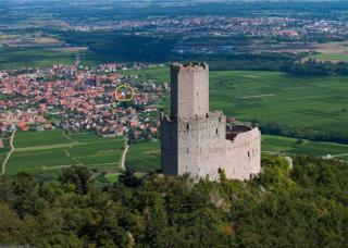 Entre vignes et châteaux. - Scherwiller - 9