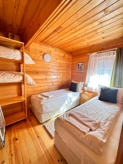 Alpine ski chalet Borovets with sauna - 2