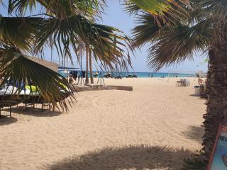 Appartement Amalia Sal Santa Maria - 8