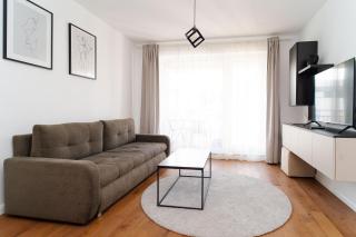 4FriendsCoresiBrasov Y - Brasov - 7