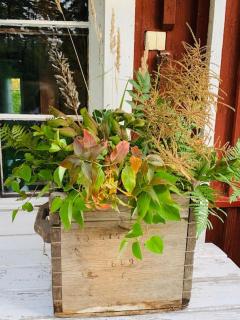 Lantligt boende nära Kastelholms golf och Smakbyn - 4