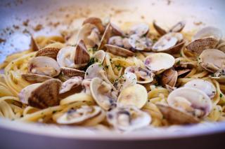 Hotel Sorriso - Cattolica - 5