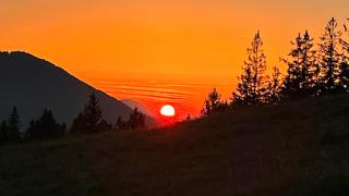 Ferienwohnung Allium - 6