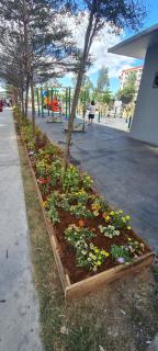 Arveelene Bedspacing - 2