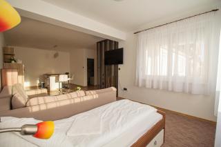 Déli Terasz C Apartman Free parking, self-check-in anytime - Győr - 6
