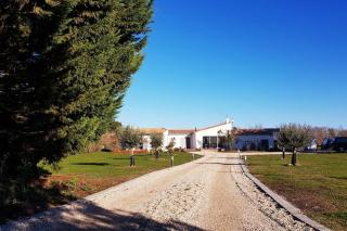 House on large terrain between beach & salt marshe - 9