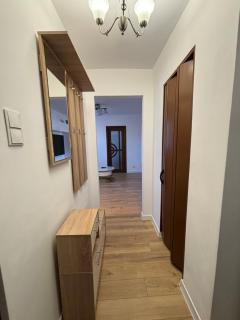 Best choice flat - Târgu-Mureş - 8