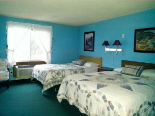 Chaffee Lodge - Chaffee - 8