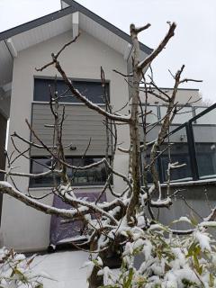 Superbe appartement à 15min du Revard - Pugny-Chatenod - 7