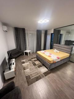 Corporate One Room Pipera - Bukarest - 1