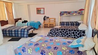 Hostal y Complejo Turístico La Rueda - Guaranda - 5