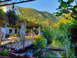 Apartments Radonjic - Budva - 7