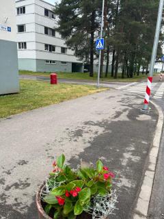 Luxurious Specious appartment - 9